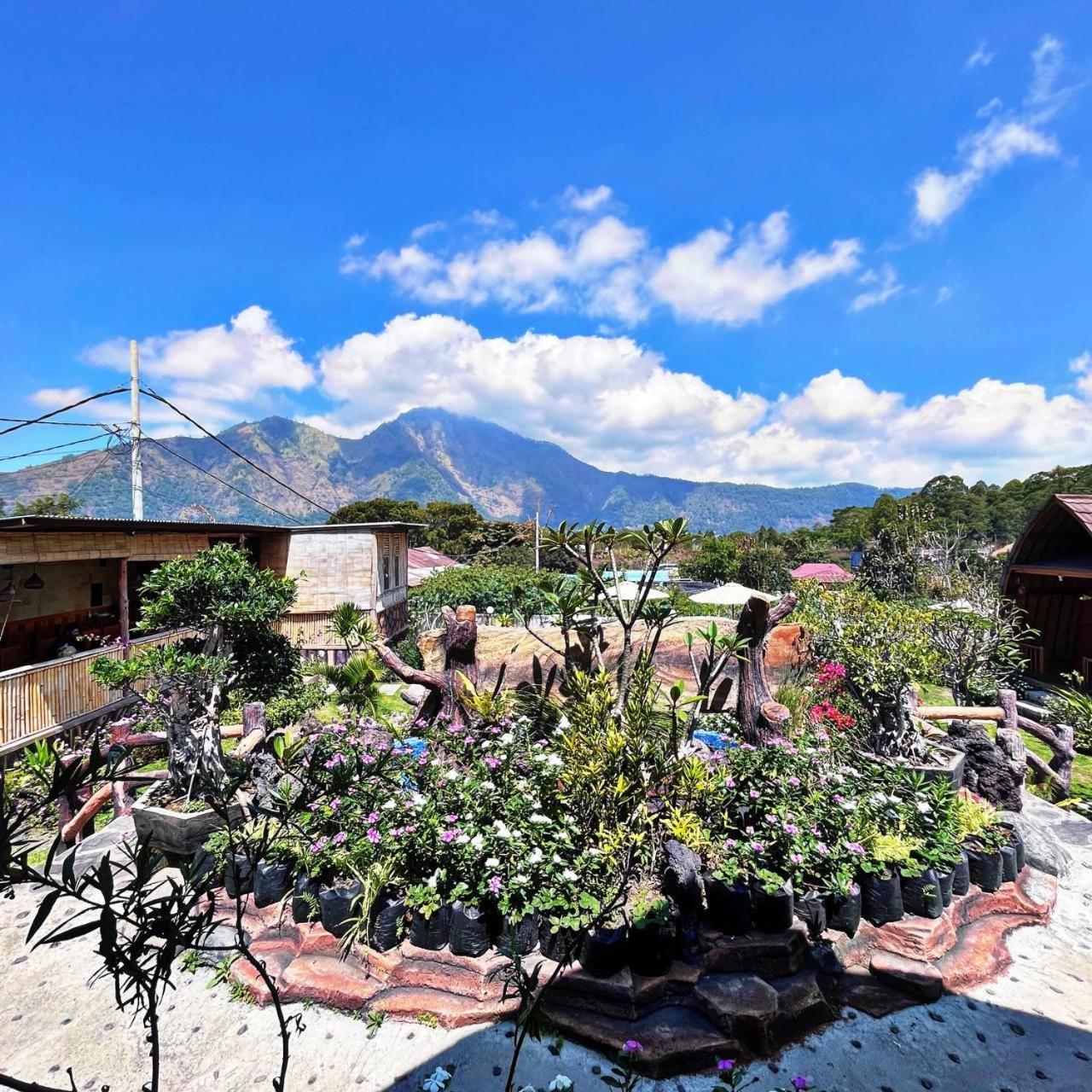 Manik Tirta Cabin'S Kintamani Esterno foto